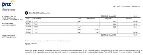 bnz business accounts account summary.